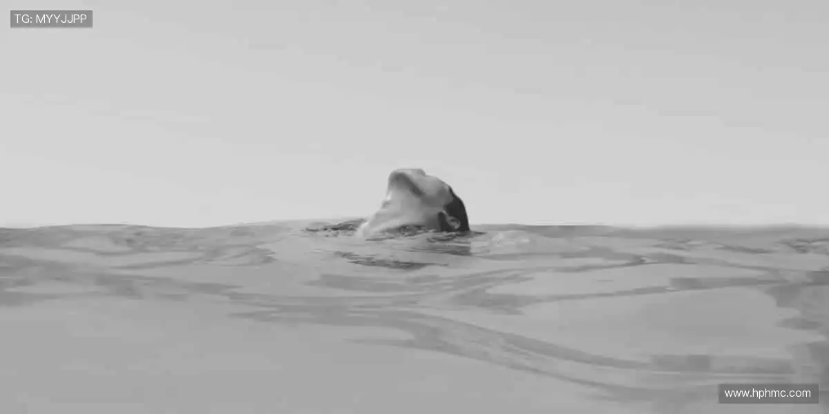 🌟独家周边，解锁你的专属运动记忆！✨